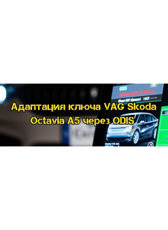 Адаптация ключа VAG Skoda Octavia A5 через ODIS