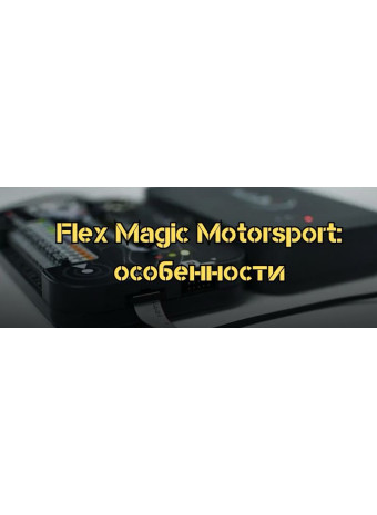 Flex от Magic Motorsport - краткий обзор на особенности инструмента для чип тюнинга
