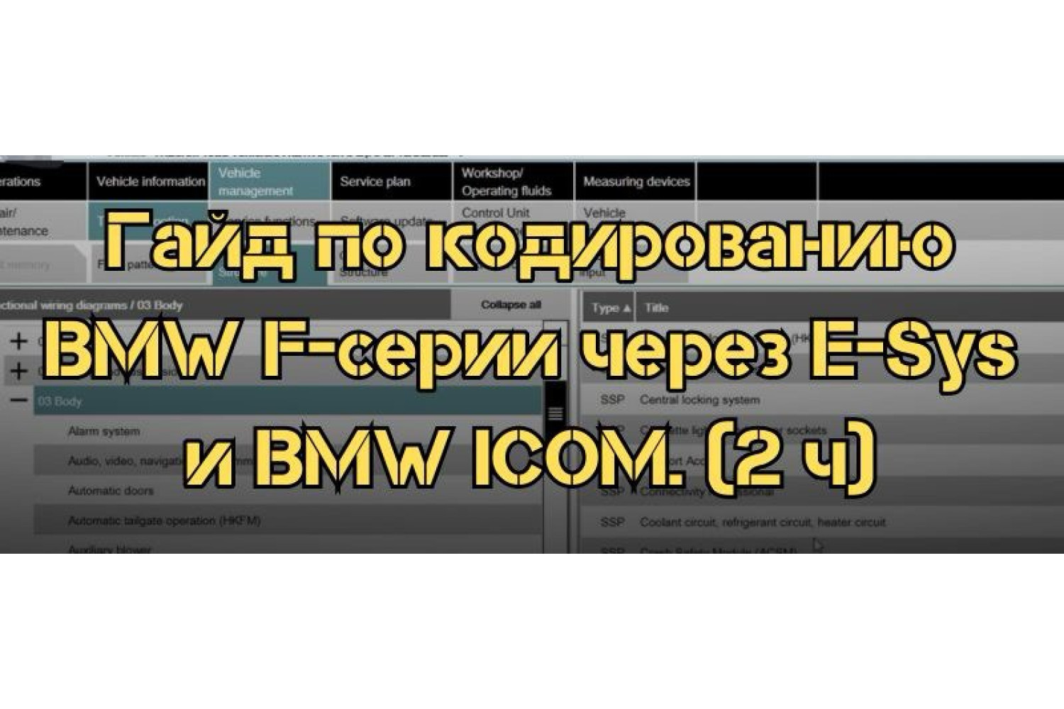 Продвинутое кодирование BMW F-серии – настройка сложных параметров в E-Sys и BMW ICOM