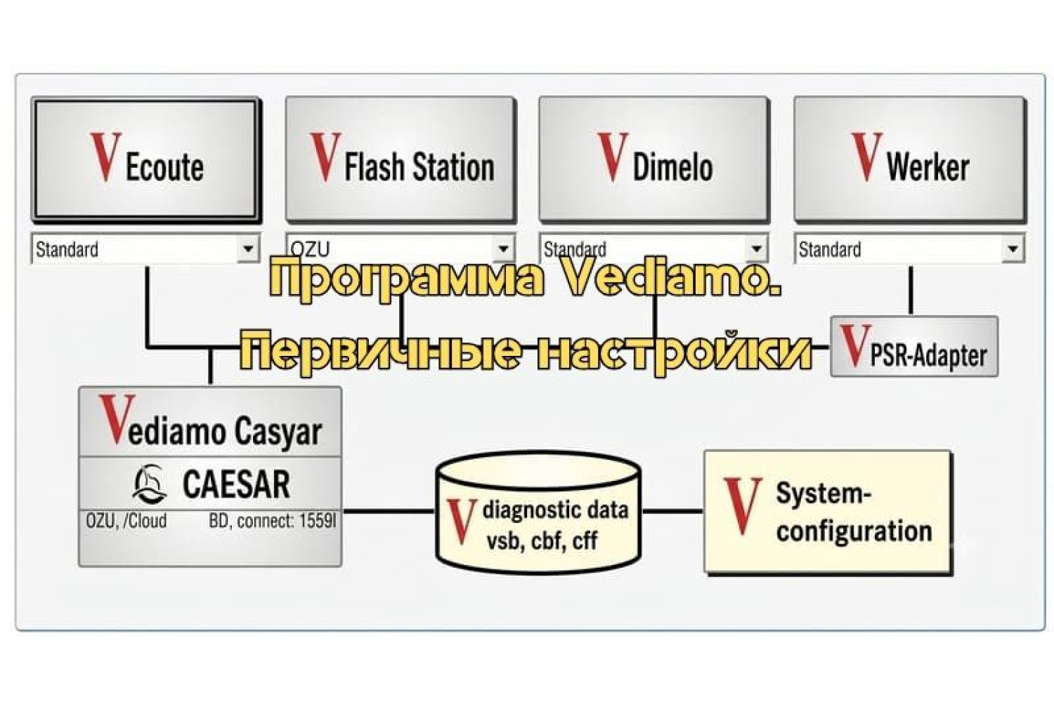 Программа Vediamo. Как пользоваться. Первичные настройки