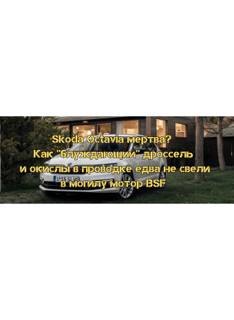 Skoda Octavia мертва? Як "блукаючий" дросель і окислення у проводці ледь не відправили двигун BSF на той світ