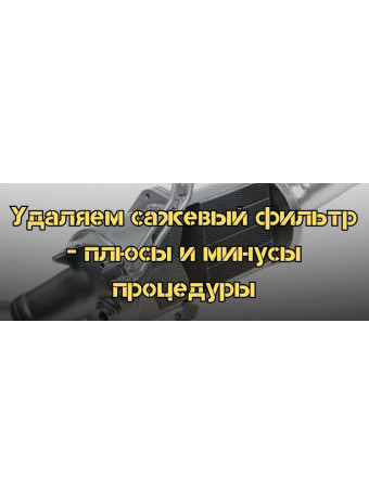 Удаляем сажевый фильтр - плюсы и минусы процедуры