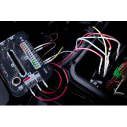 Flex MagicMotorsport