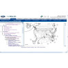 Мануалы Ford TIS WorkShop Wiring Diagram, Service Traning, Workshop Manual, Repair Service Manual 2006-2018