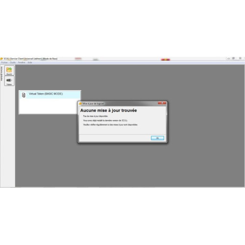 Установка программы Liebherr SCULi 2025 (с USB ключем для Sculi Lindiag Dcdesk Cep12)