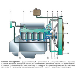Устройство легкового автомобиля + Автокондиционеры. Видео курс