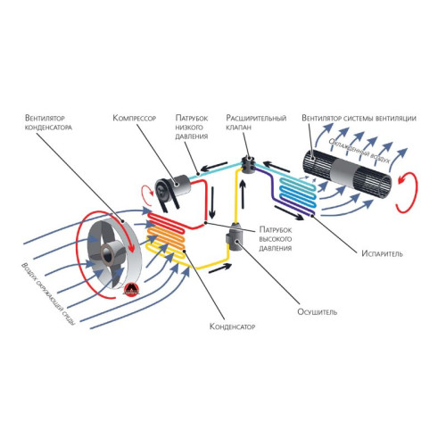 Устройство легкового автомобиля + Автокондиционеры. Видео курс