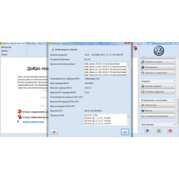 Онлайн-доступ для VAG - ODIS (1 раз ввод пароля)