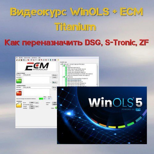 Видеокурс WinOLS + ECM Titanium. Как переназначить DSG, S-Tronic, ZF