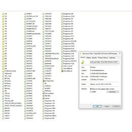 Набор файлов Volvo Truck + MACK Delete Flash Files 2021