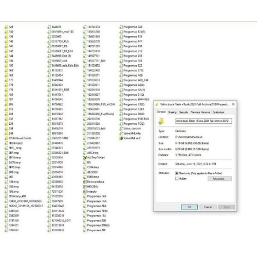 Набор файлов Volvo Truck + MACK Delete Flash Files 2021