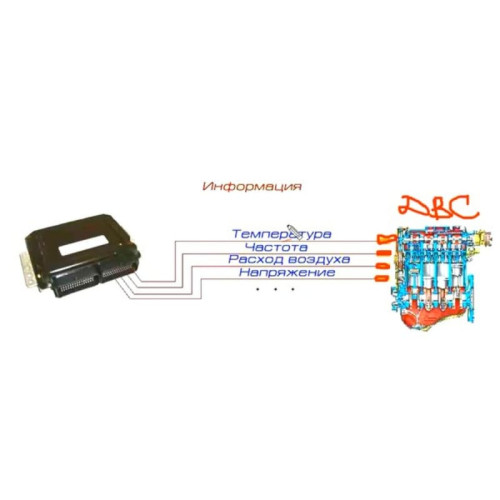 Видеокурс Автоэлектроника. Базовые знания для чип тюнинга