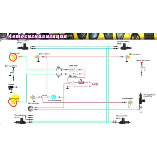 Видеокурс Автосигнализация. Как научиться устанавливать автосигнализацию