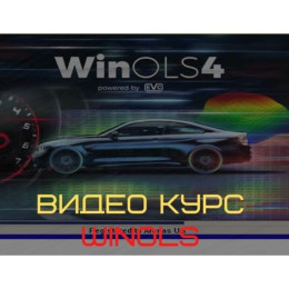 Видеокурс WinOLS. Как удалить DPF, виды карт + база дамосов